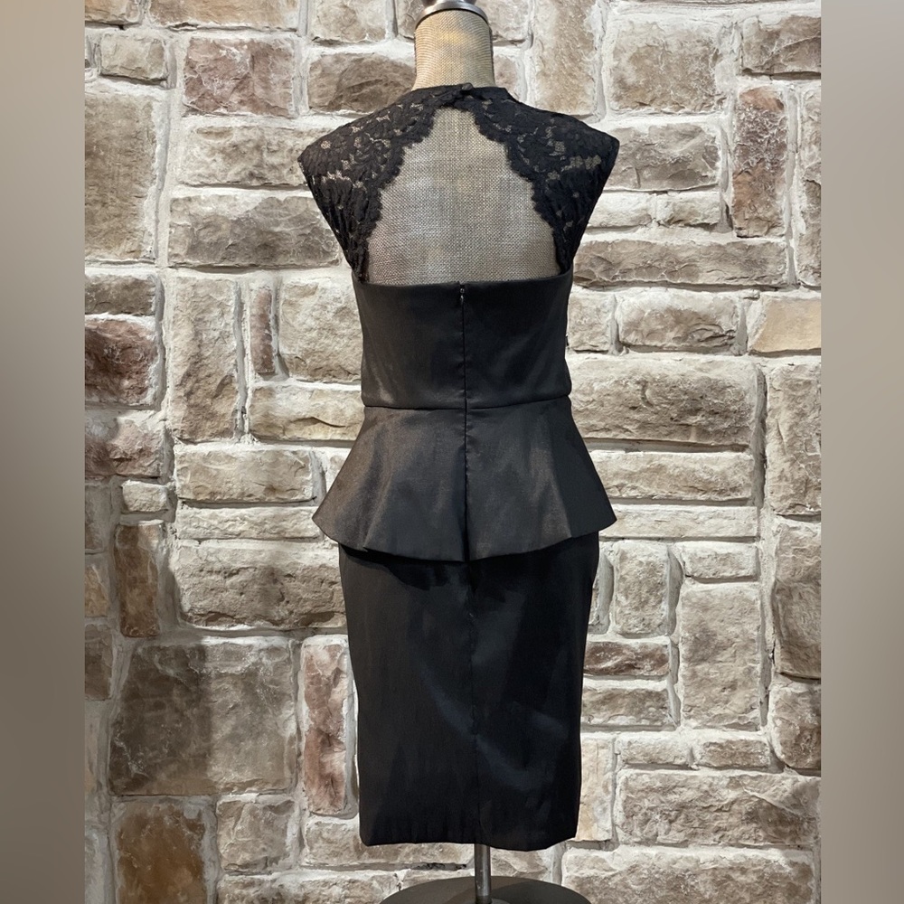 Cache taffeta peplum lace dress size 2